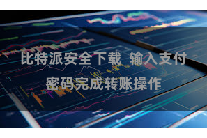 比特派安全下载  输入支付密码完成转账操作