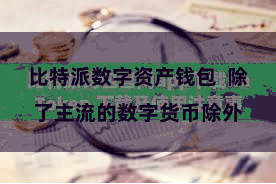 比特派数字资产钱包  除了主流的数字货币除外
