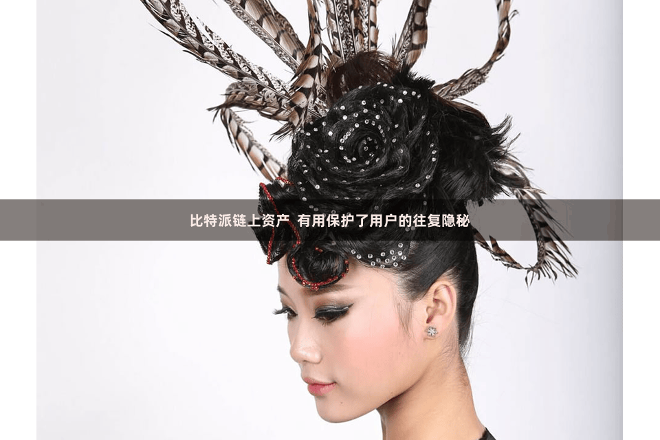 比特派链上资产  有用保护了用户的往复隐秘