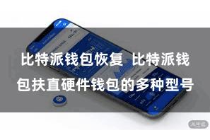 比特派钱包恢复  比特派钱包扶直硬件钱包的多种型号