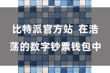 比特派官方站  在浩荡的数字钞票钱包中