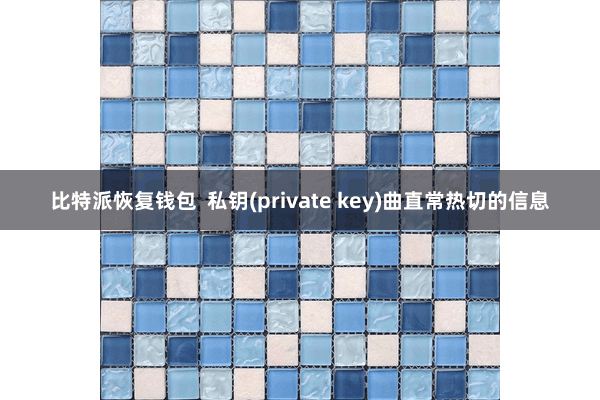比特派恢复钱包  私钥(private key)曲直常热切的信息