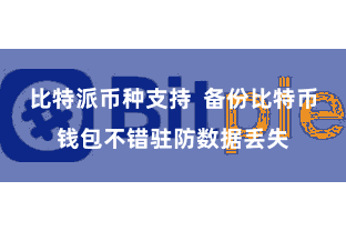 比特派币种支持  备份比特币钱包不错驻防数据丢失