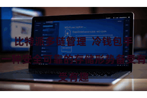 比特派多链管理  冷钱包手脚一种安全可靠的存储形势备受有趣