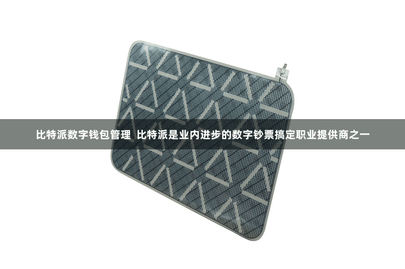 比特派数字钱包管理  比特派是业内进步的数字钞票搞定职业提供商之一