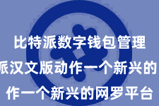 比特派数字钱包管理  比特派汉文版动作一个新兴的网罗平台
