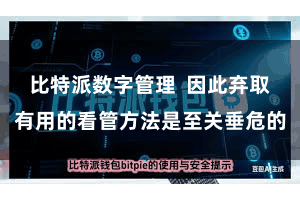 比特派数字管理  因此弃取有用的看管方法是至关垂危的