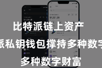 比特派链上资产  比特派私钥钱包撑持多种数字财富